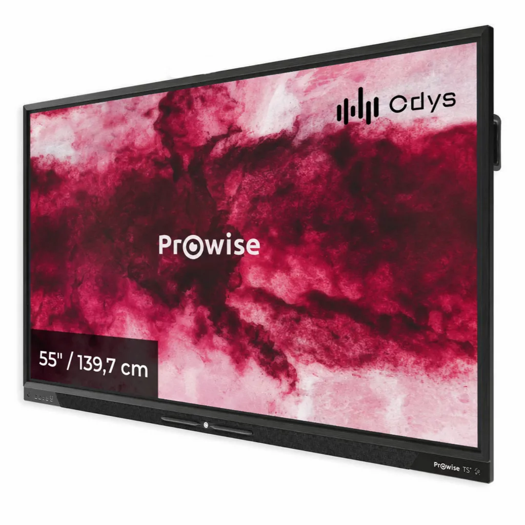 [PW.1.17055.0001] Prowise Touchscreen Ten (55 inch)