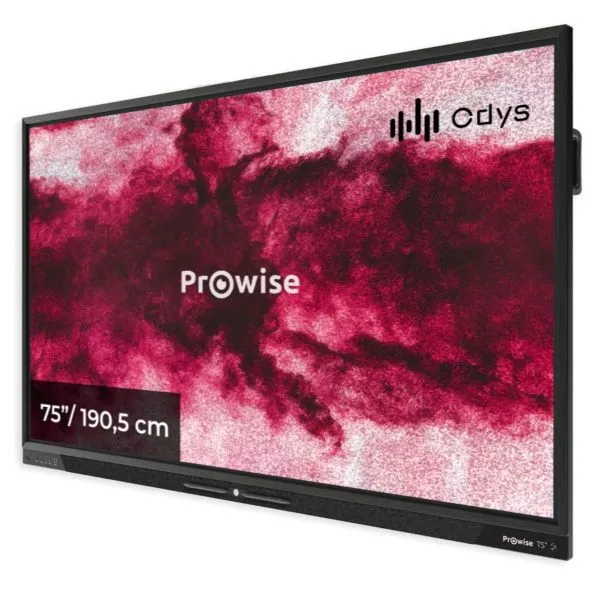 Prowise Touchscreen Ten