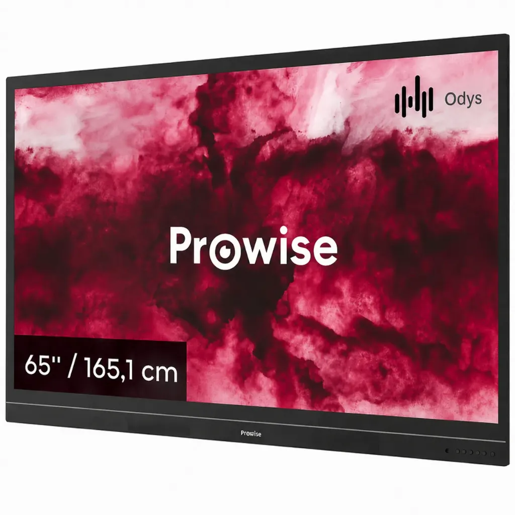 [PW.1.13065.0001] Prowise EntryLine (65 inch)