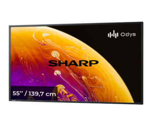 sharp55inch-PN-Y555 Odys